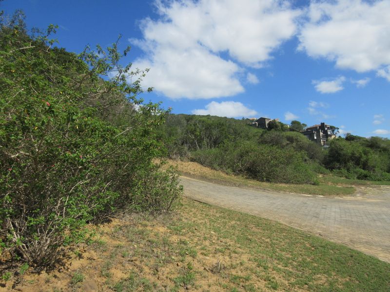 Large Corner Plot for Sale in the Port Alfred Country Club Estate - Photo 8