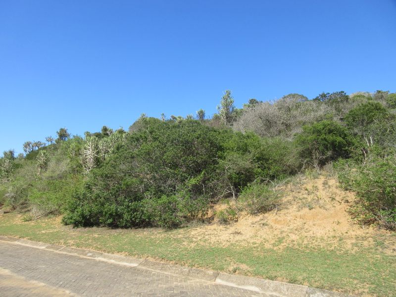 Large Corner Plot for Sale in the Port Alfred Country Club Estate - Photo 9