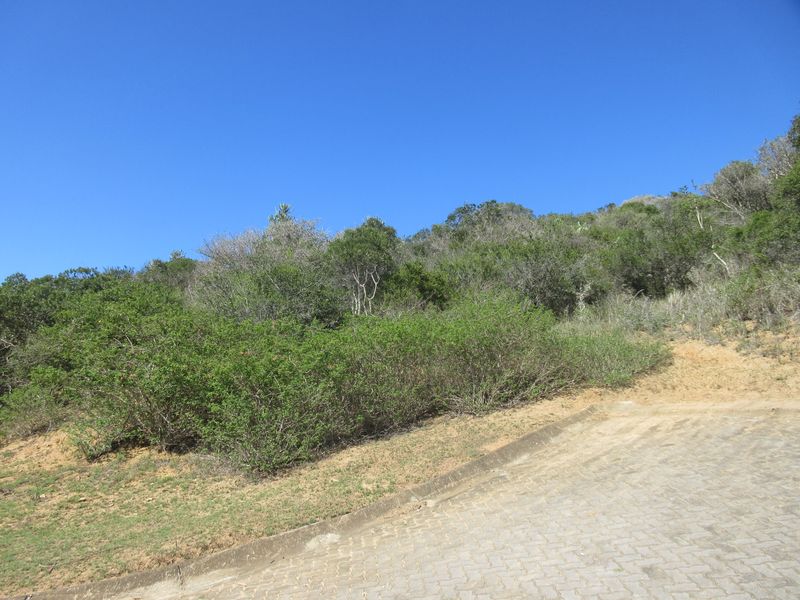 Large Corner Plot for Sale in the Port Alfred Country Club Estate - Photo 6