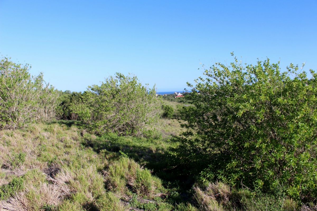Level Sea View Stand in Umdoni Downs Estate, Port Alfred - Photo 3