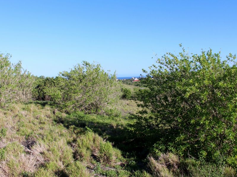 Level Sea View Stand in Umdoni Downs Estate, Port Alfred - Photo 3