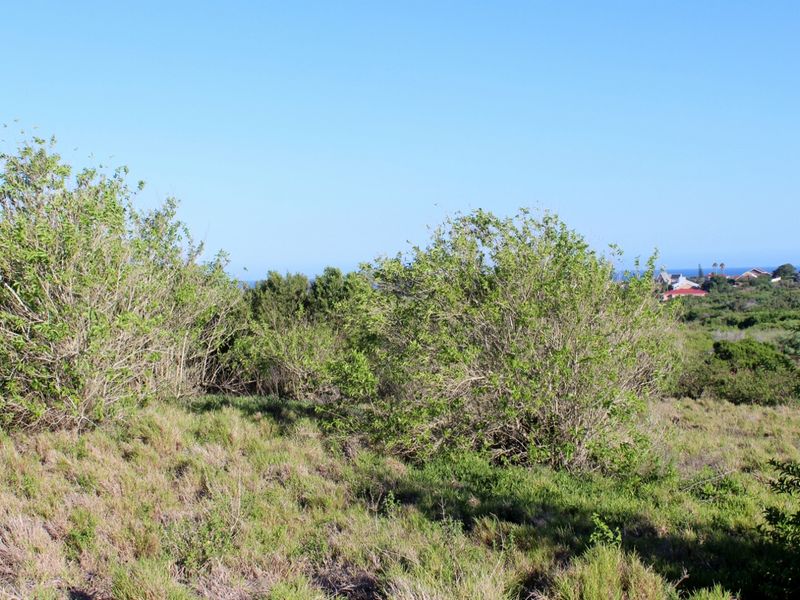 Level Sea View Stand in Umdoni Downs Estate, Port Alfred - Photo 9