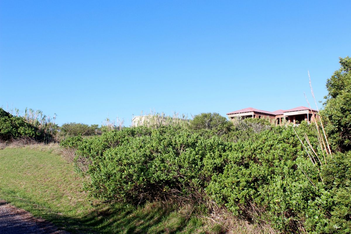 A view of a sloped residential plot featuring dense native vegetation and surrounding landscape, with distant structures visible in the background.