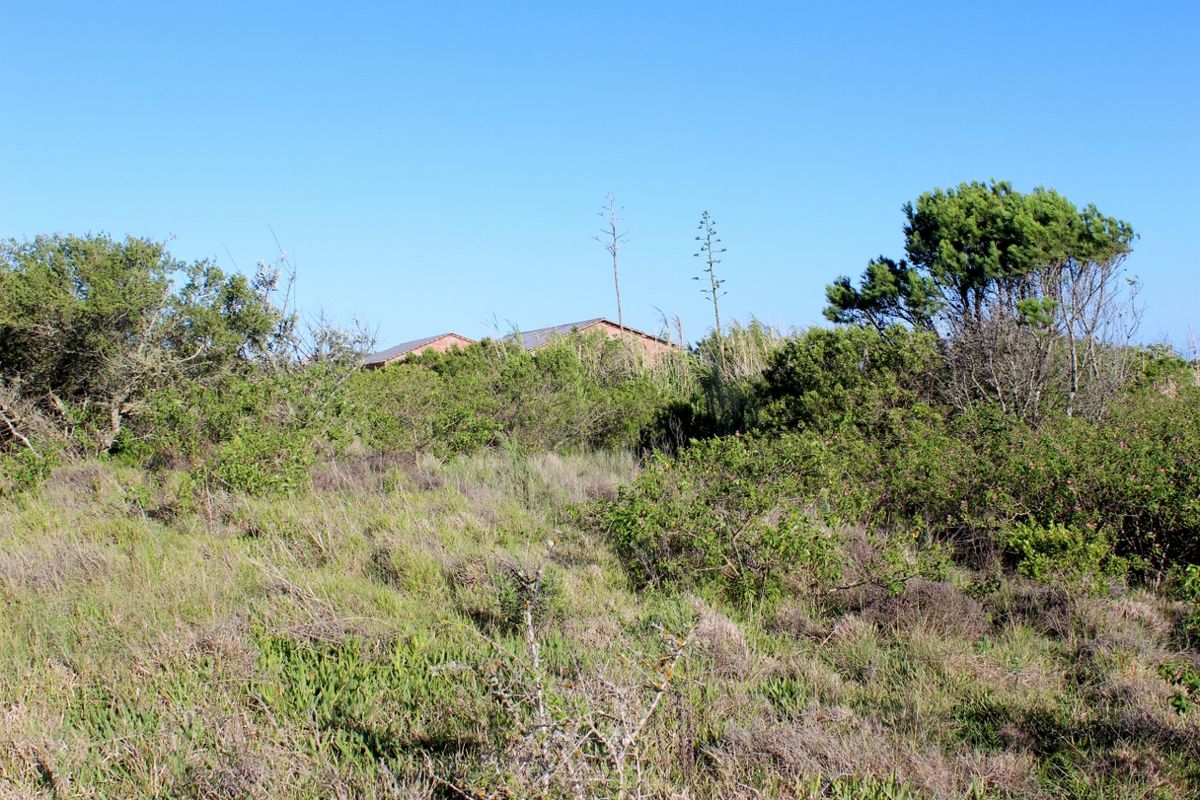 Secure Estate Living with Sea and Country Views in Umdoni Downs, Port Alfred - Photo 5