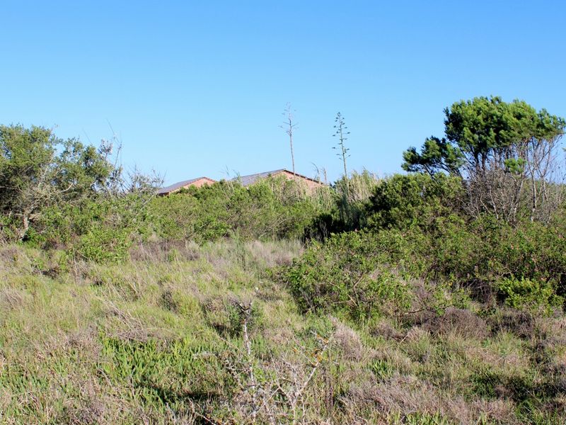 Secure Estate Living with Sea and Country Views in Umdoni Downs, Port Alfred - Photo 5