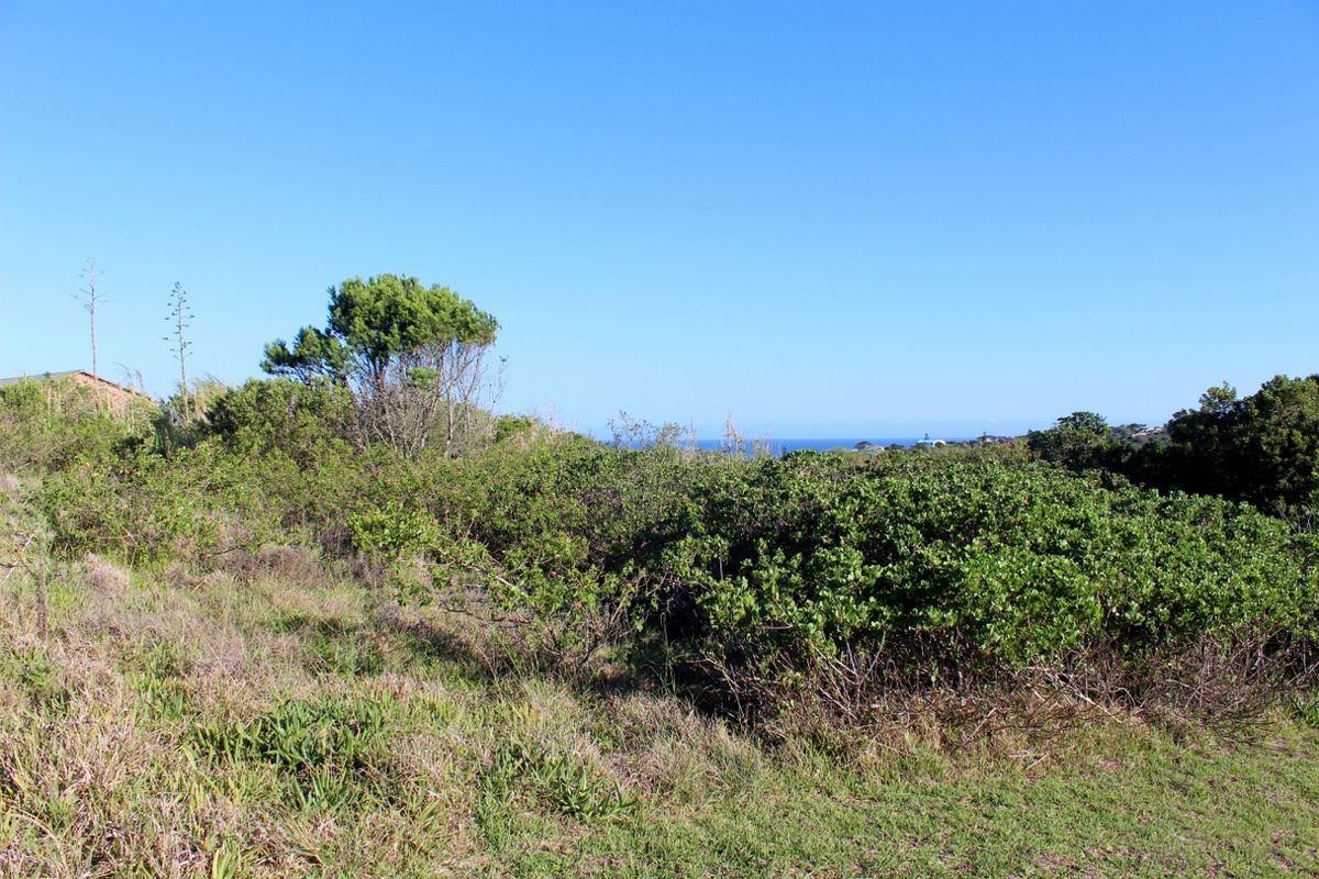 Secure Estate Living with Sea and Country Views in Umdoni Downs, Port Alfred - Photo 4