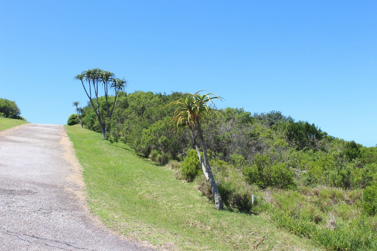 Build Your Coastal Home in Umdoni Downs, Port Alfred - Photo 2