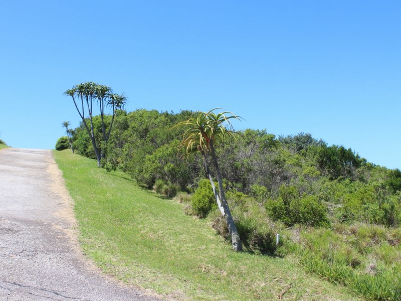 Build Your Coastal Home in Umdoni Downs, Port Alfred - Photo 2