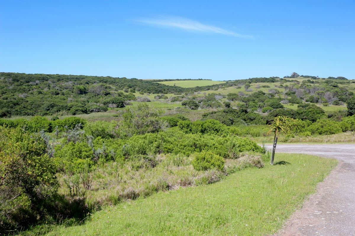Build Your Coastal Home in Umdoni Downs, Port Alfred - Photo 3