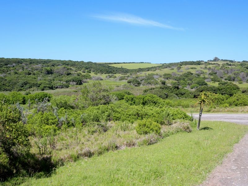 Build Your Coastal Home in Umdoni Downs, Port Alfred - Photo 3
