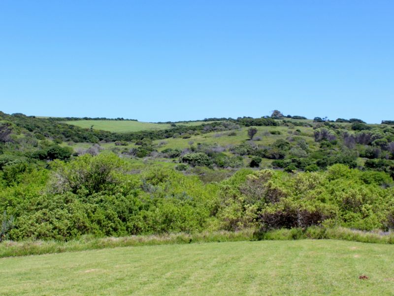 Build Your Coastal Home in Umdoni Downs, Port Alfred - Photo 8