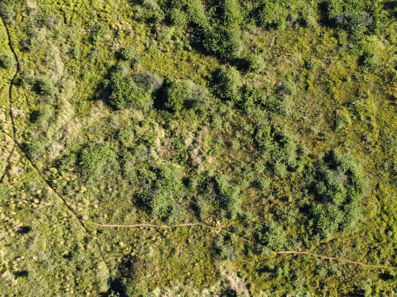 Prime Residential Development Opportunity – Karenpark, Akasia - Photo 8