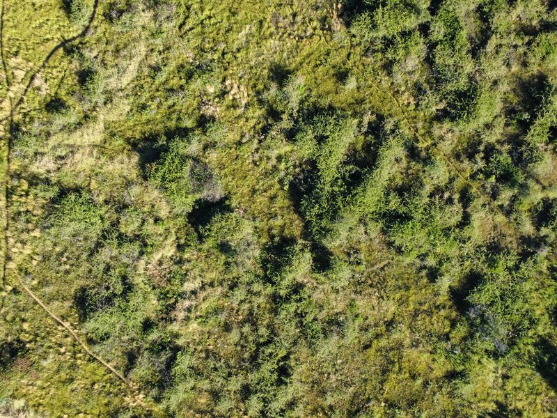 Prime Residential Development Opportunity – Karenpark, Akasia - Photo 6