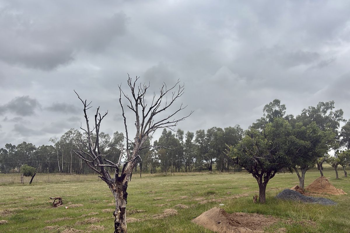 Vacant Land Residential For Sale In Newcastle - Photo 2