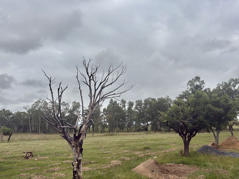 Vacant Land Residential For Sale In Newcastle - Photo 2