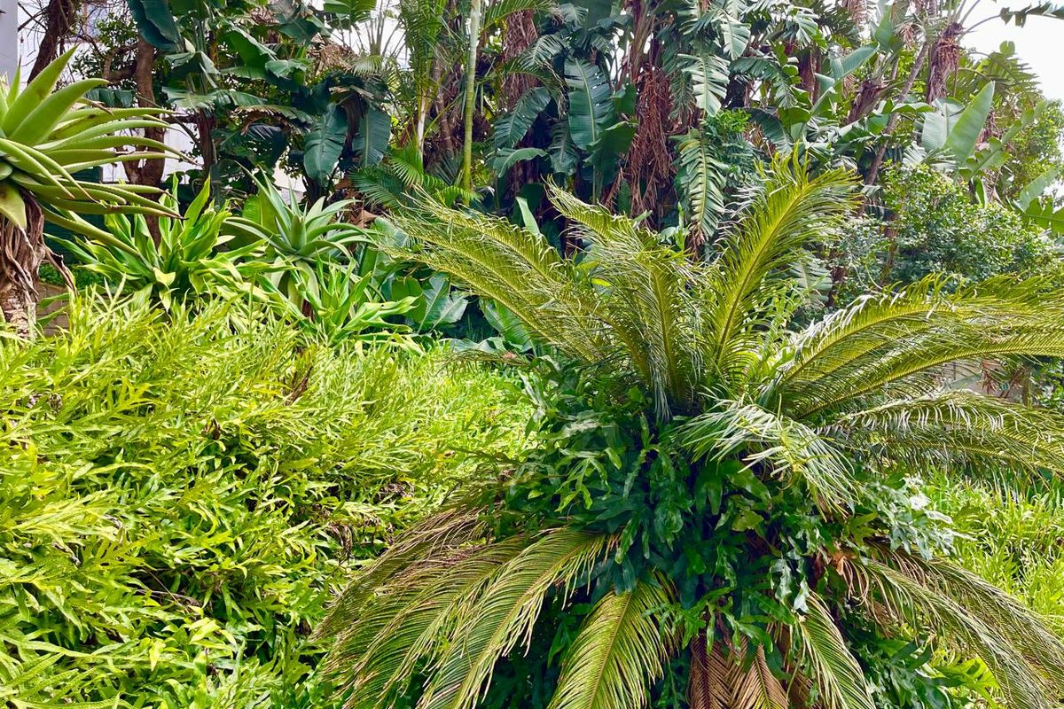 Flexible Use Property In A Prime Location - Photo 5