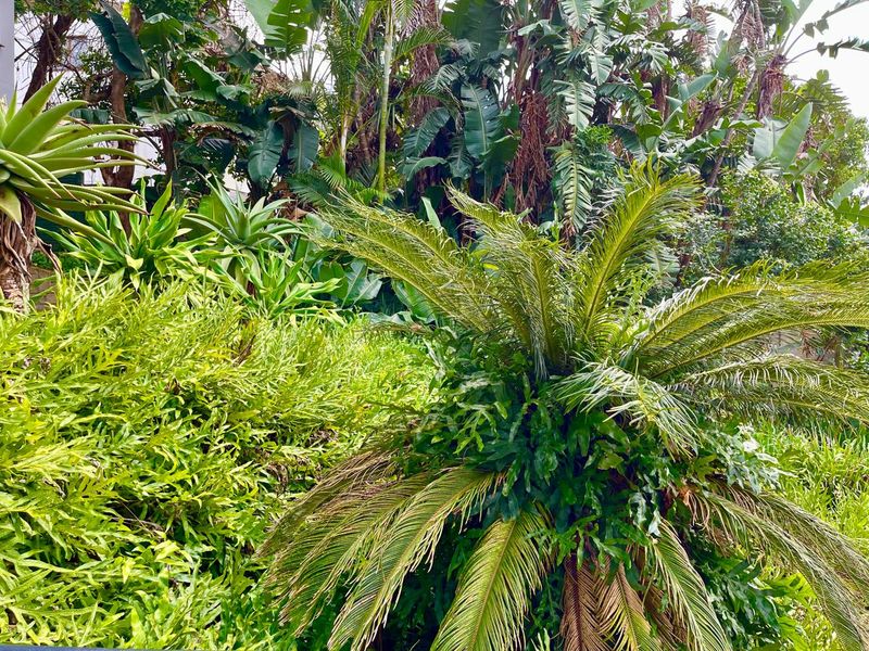 Flexible Use Property In A Prime Location - Photo 5