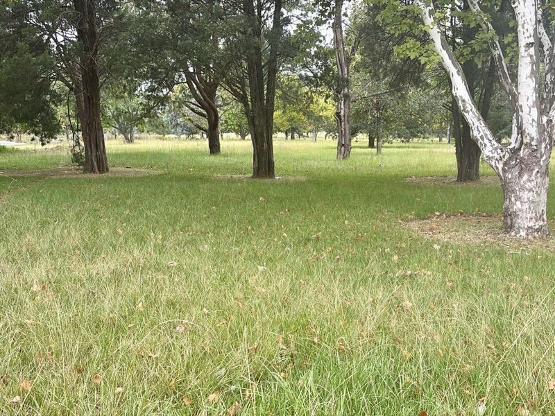 Prime Vacant Land for Sale in Kilbarchan, Newcastle - Photo 2