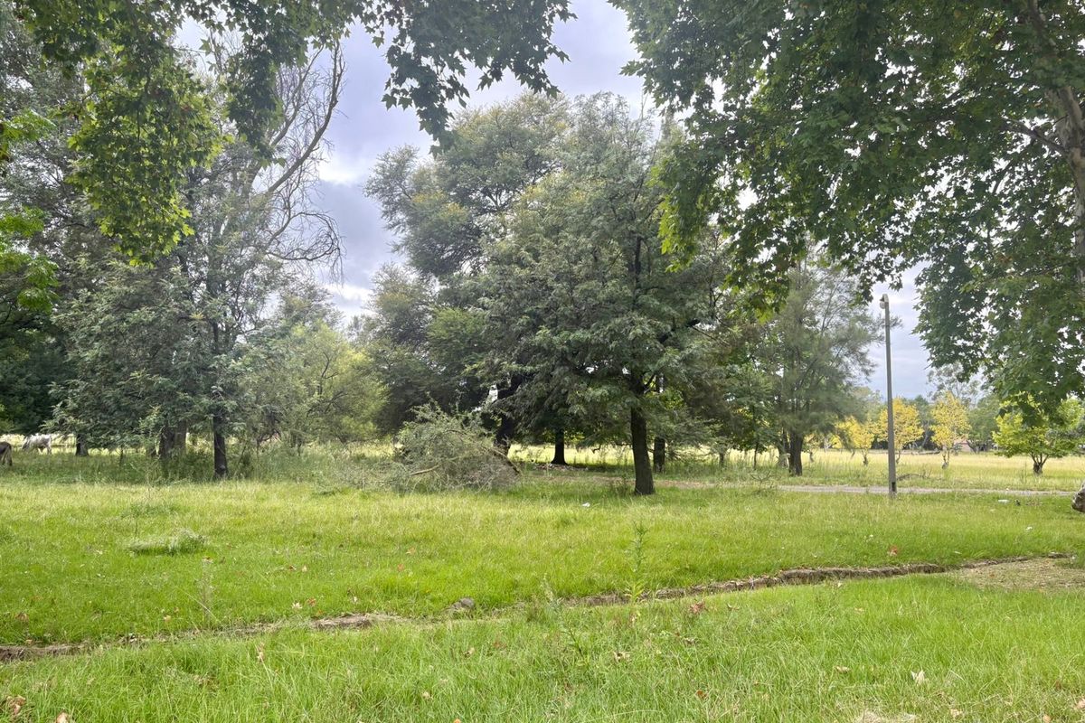 Prime Vacant Land for Sale in Kilbarchan, Newcastle - Photo 4