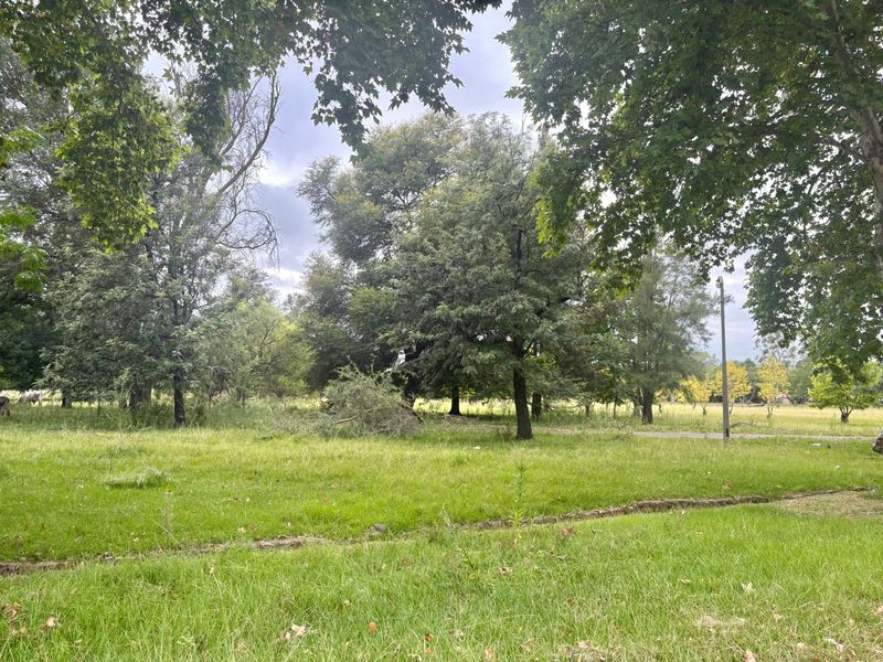 Prime Vacant Land for Sale in Kilbarchan, Newcastle - Photo 4