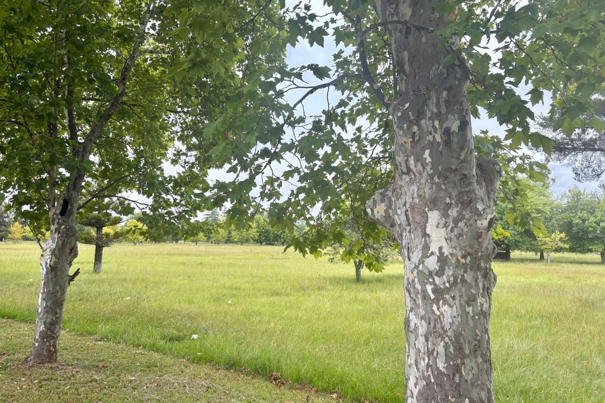 Prime Vacant Land for Sale in Kilbarchan, Newcastle - Photo 3