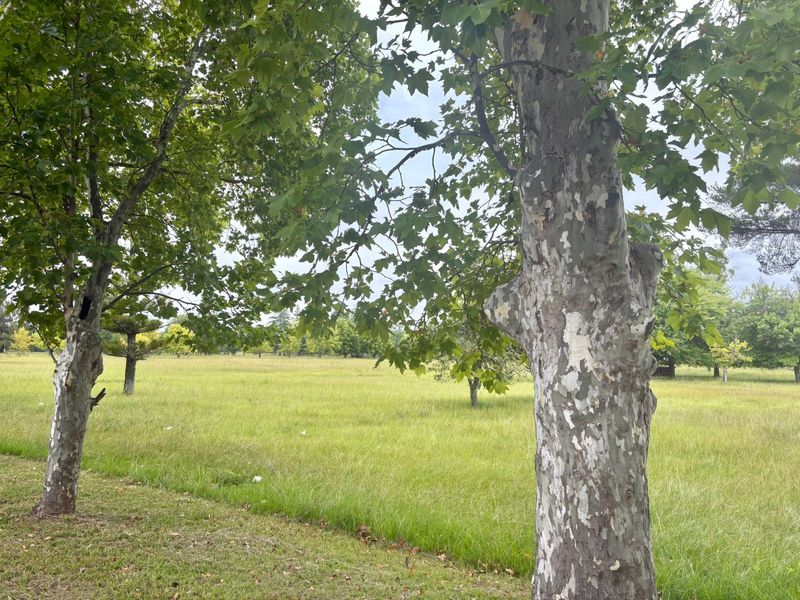 Prime Vacant Land for Sale in Kilbarchan, Newcastle - Photo 3