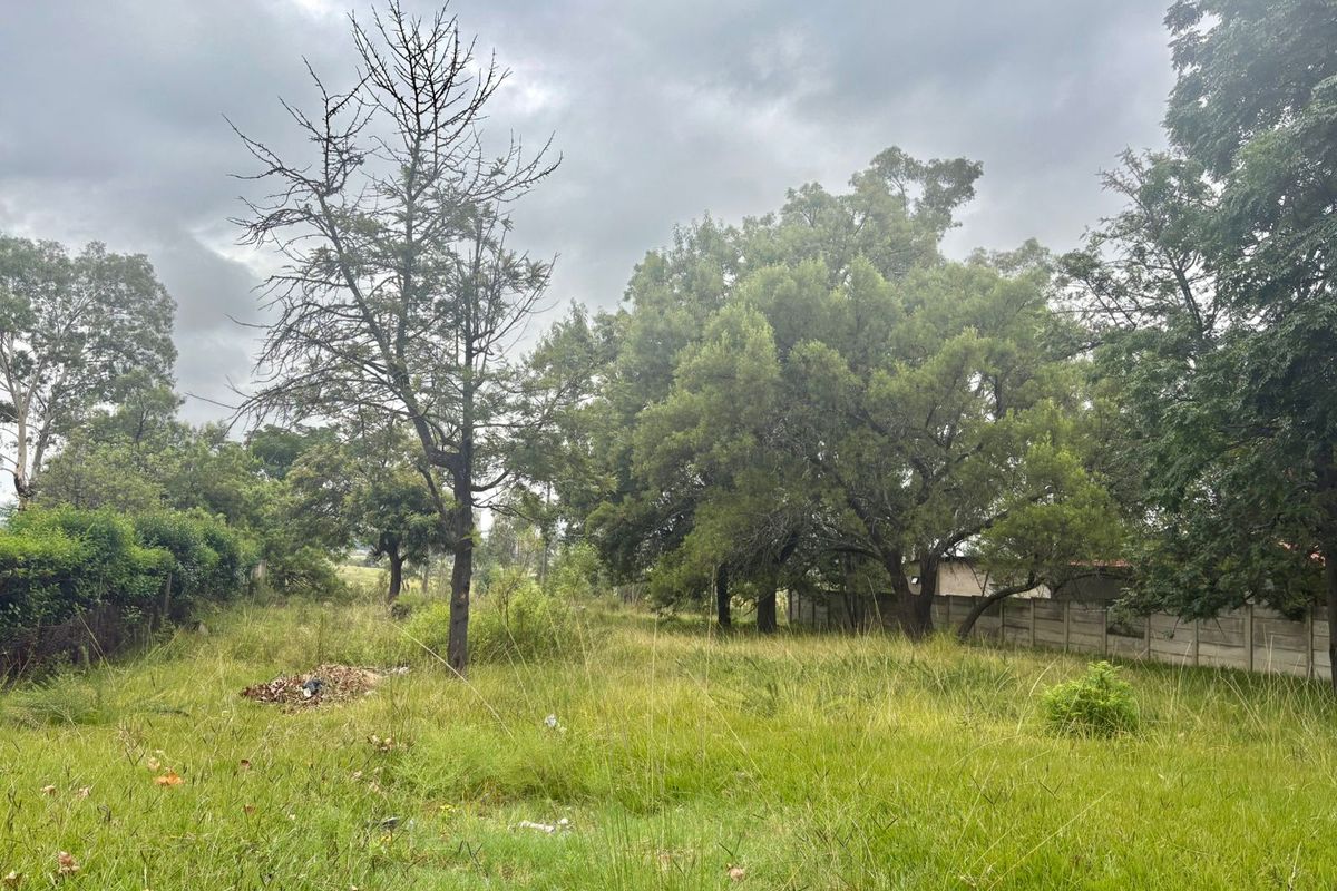 Vacant Land Residential For Sale In Newcastle - Photo 2