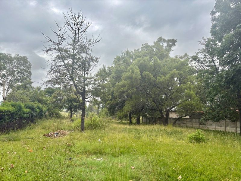 Vacant Land Residential For Sale In Newcastle - Photo 2