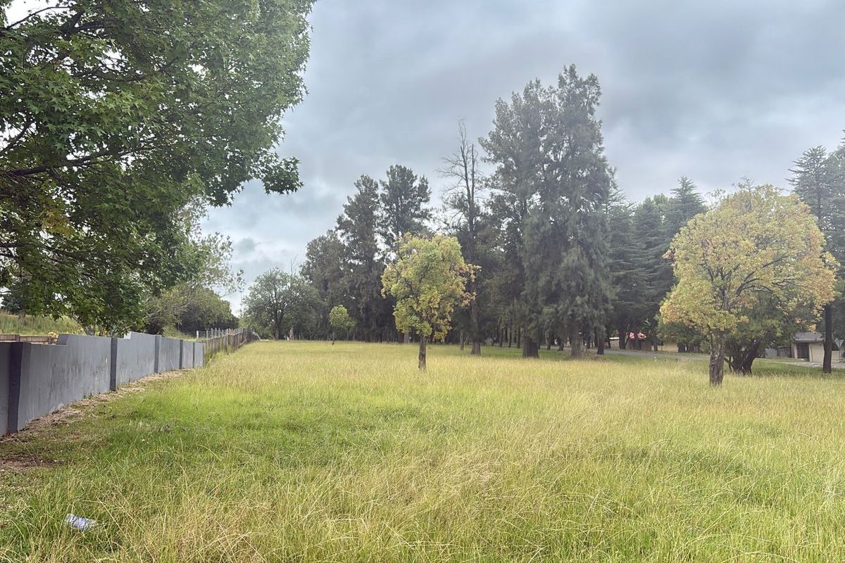 Vacant Land Residential For Sale In Newcastle - Photo 2