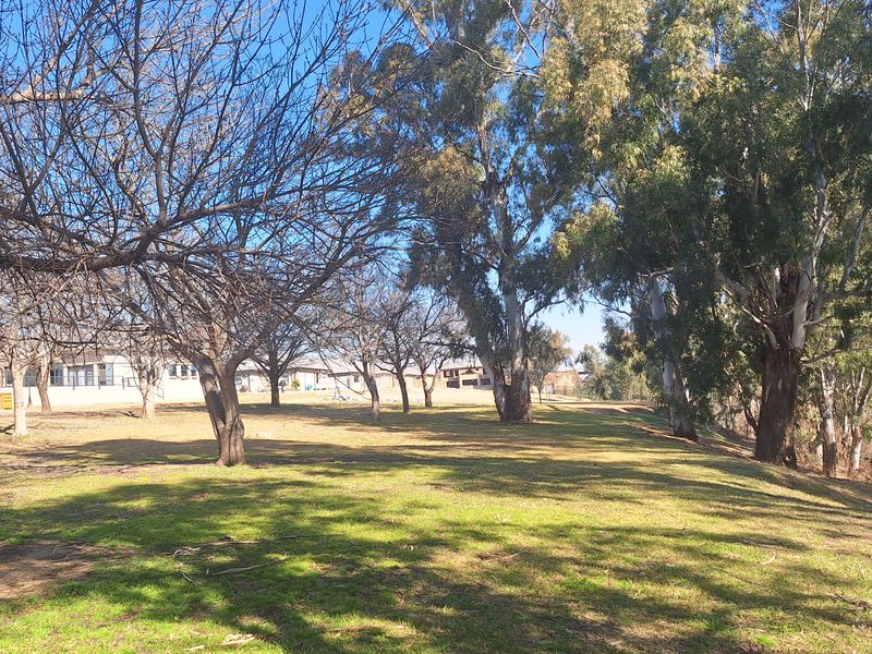 Stand overlooking park for sale - Photo 7