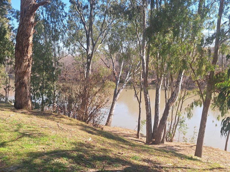 Stand overlooking park for sale - Photo 6