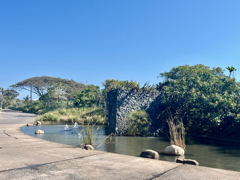 A scenic entrance featuring a stone wall, a tranquil water feature, and established landscaping, providing an inviting approach to the property.