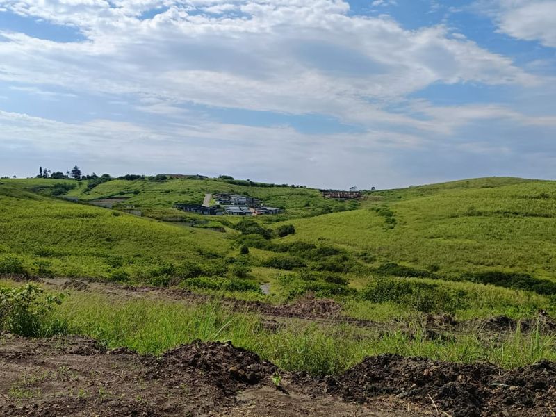 Unbelievable Opportunity for Stylish Estate Living - Photo 4