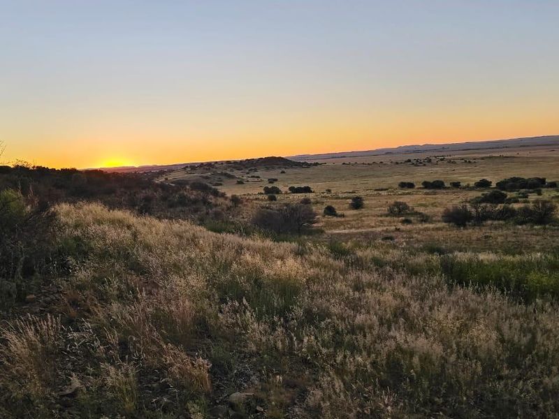 920 Ha Game Farm in the Southern Free State - Photo 9