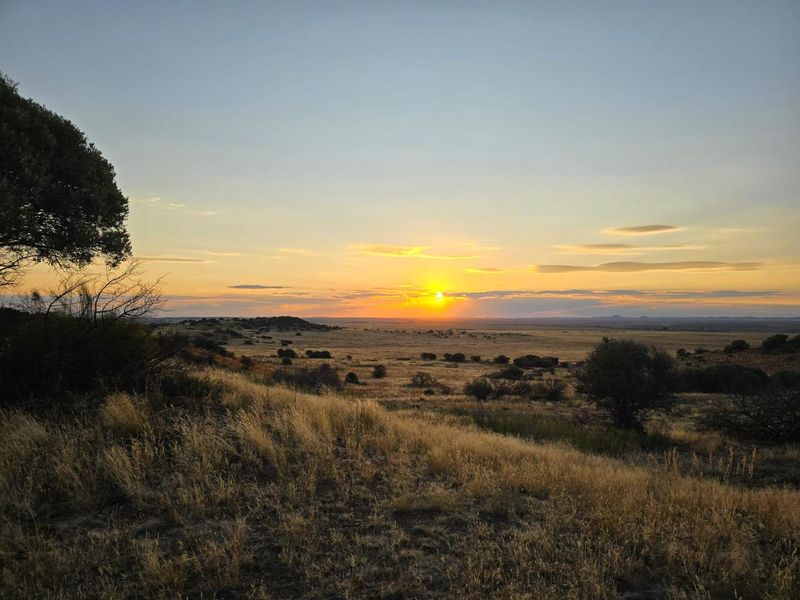 920 Ha Game Farm in the Southern Free State - Photo 2