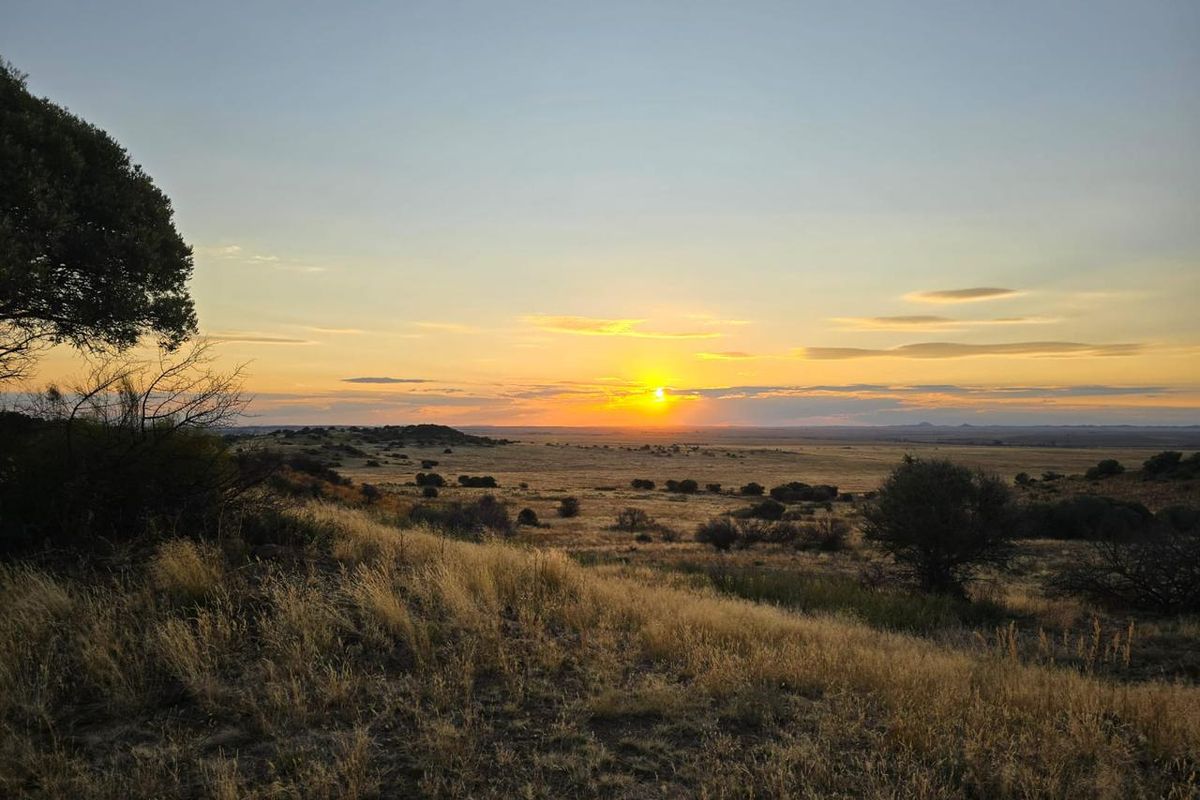 920 Ha Game Farm in the Southern Free State - Photo 2