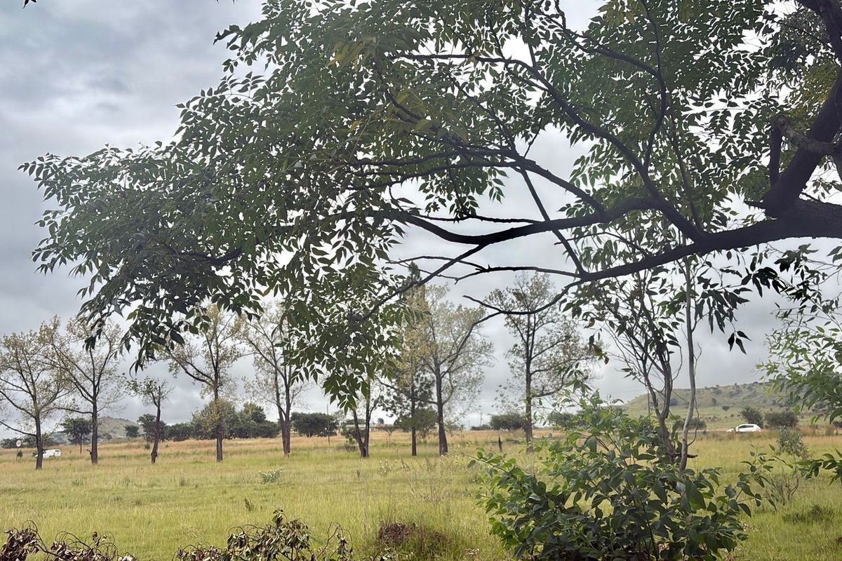 Vacant Land Residential For Sale In Newcastle - Photo 2