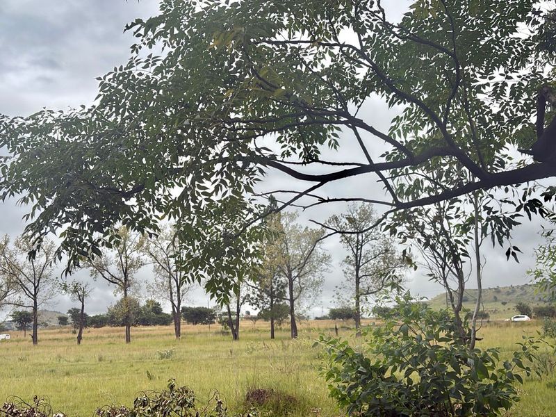 Vacant Land Residential For Sale In Newcastle - Photo 2