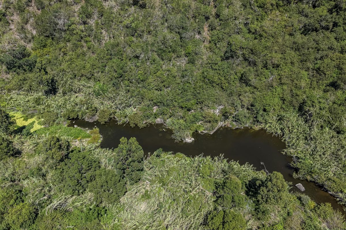 Where Family Life Flows Effortlessly - Photo 4