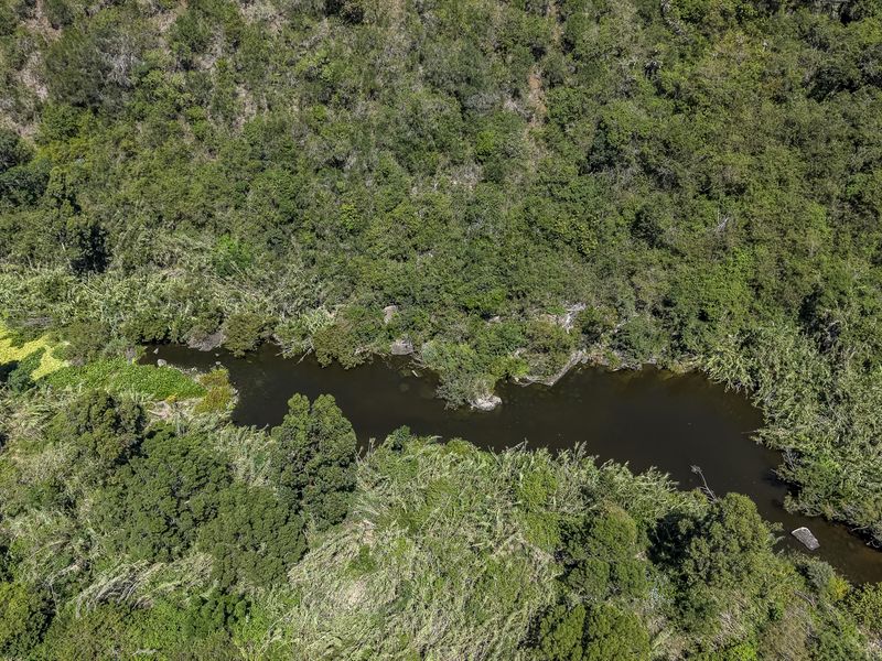 Where Family Life Flows Effortlessly - Photo 4