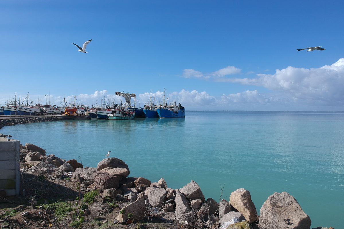 Vacant land for Sale in Sandpyper, Harbour Lights, St Helena bay - Photo 3