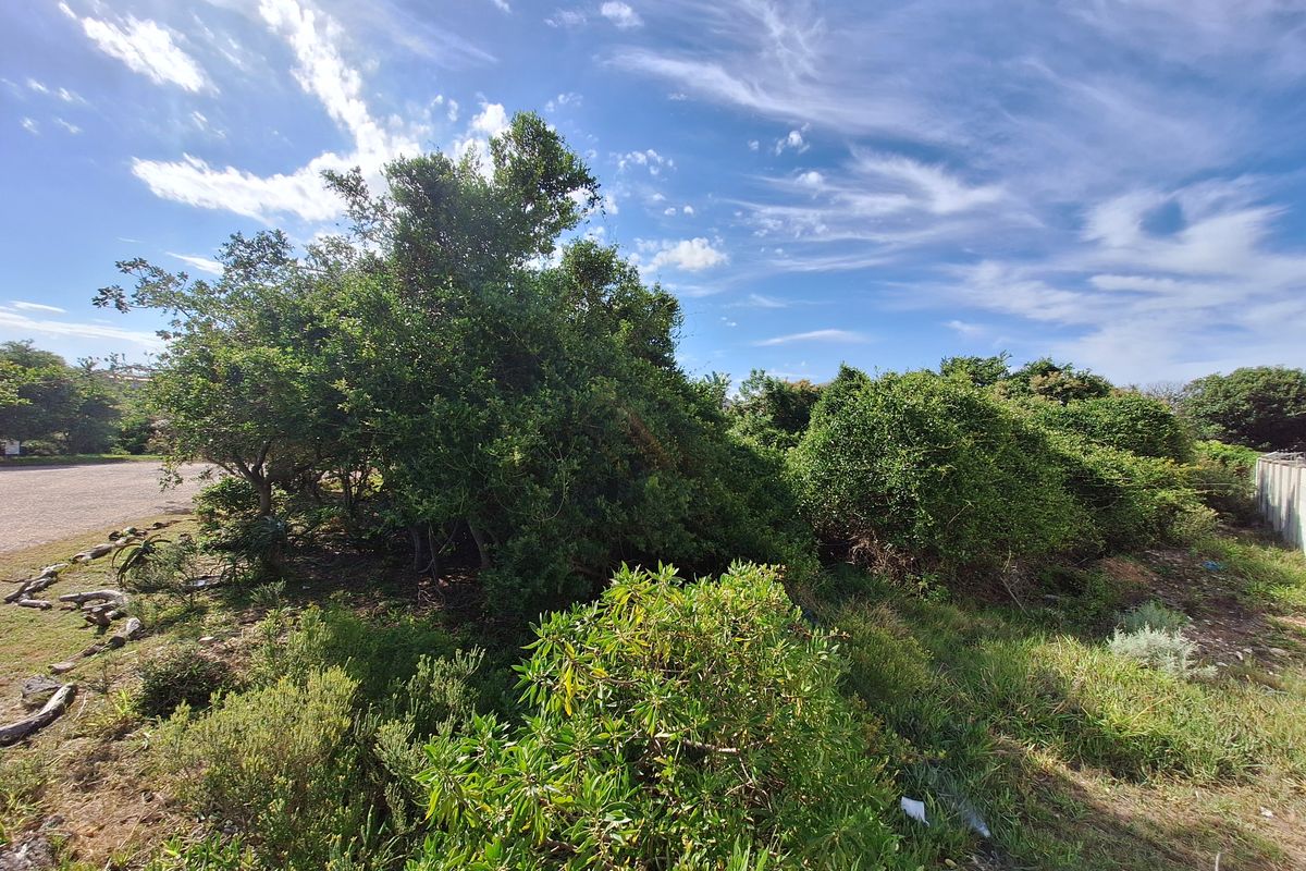 Semi-level stand in Aston Bay - Photo 4