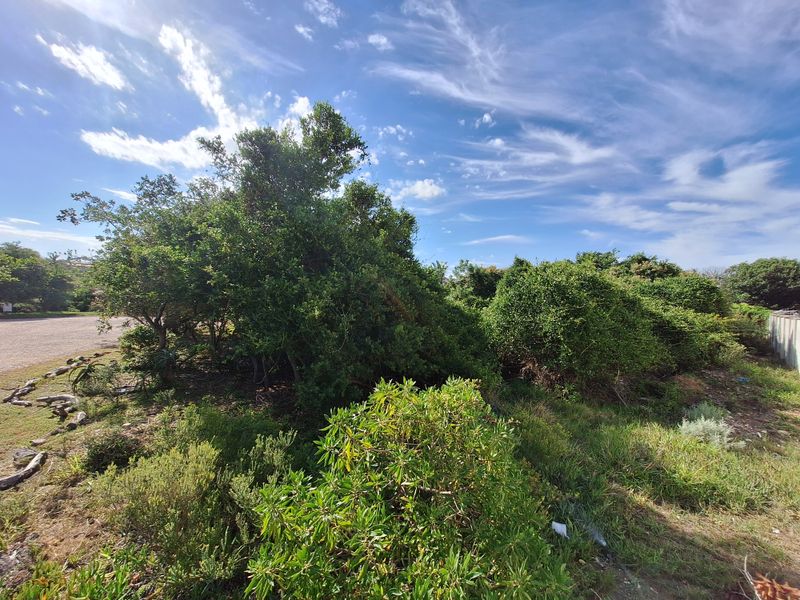 Semi-level stand in Aston Bay - Photo 4