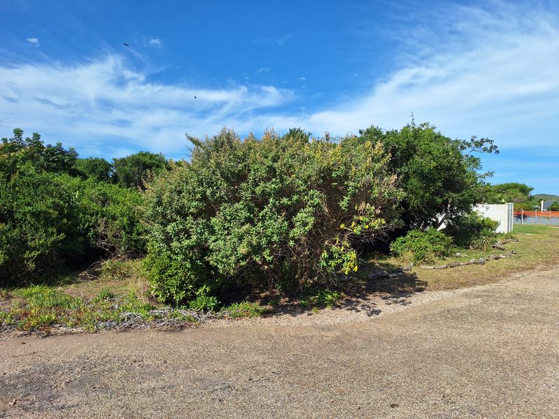 Semi-level stand in Aston Bay - Photo 7