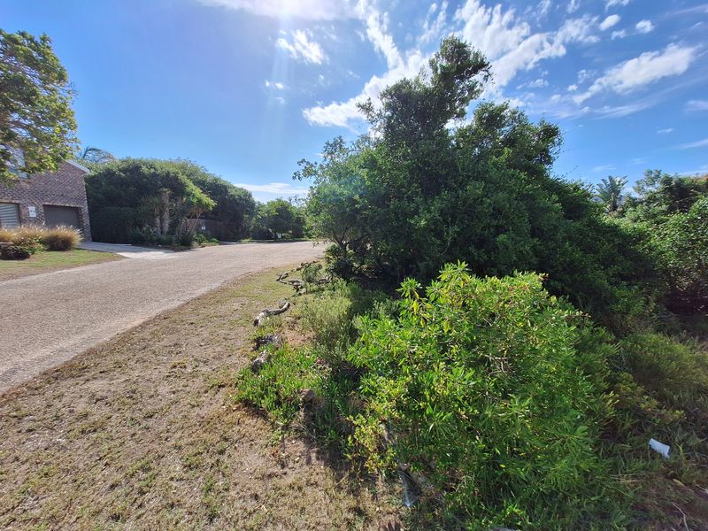 Semi-level stand in Aston Bay - Photo 6