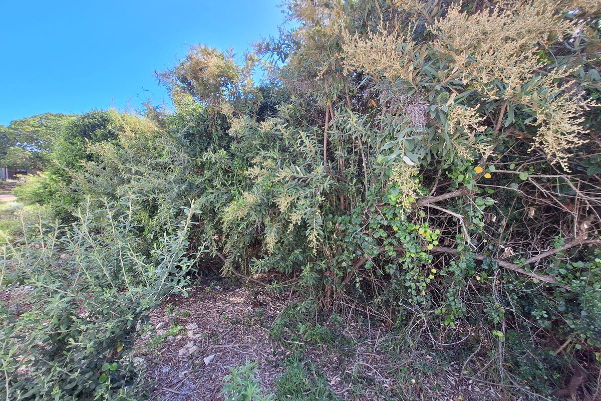 Semi-level stand in Aston Bay - Photo 5