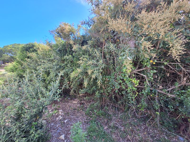 Semi-level stand in Aston Bay - Photo 5