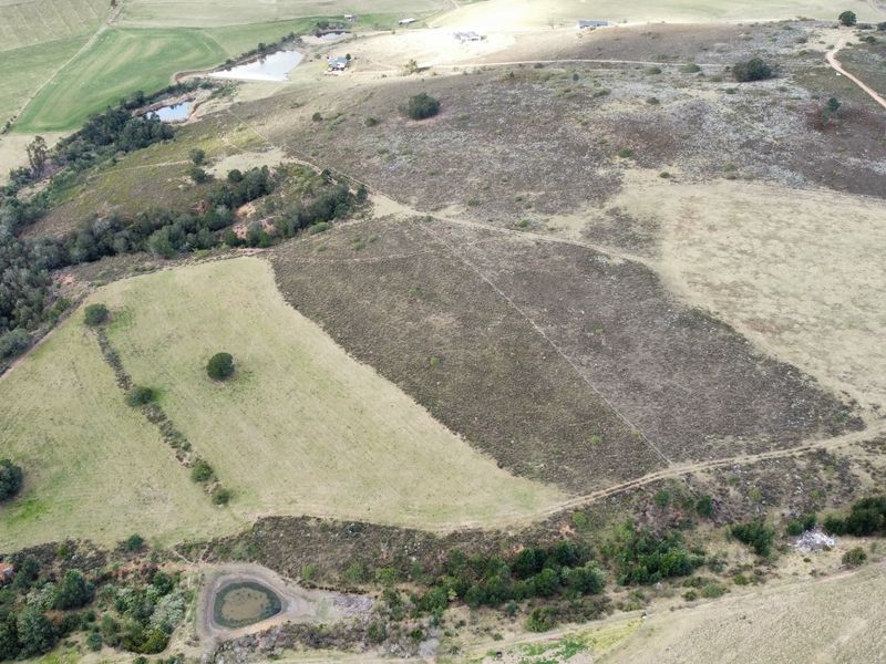 47 HA Farm for sale in Riversdale Rural - Photo 4