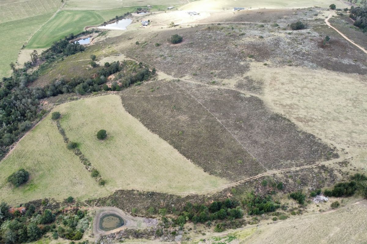 47 HA Farm for sale in Riversdale Rural - Photo 4