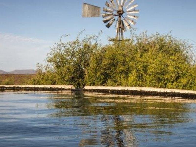Victoria  West farm - 9130 ha - Photo 7